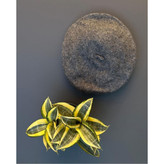 50125 کلاه برِت فرانسوی نمدی بزرگسال قابل تنظیم تن شیک