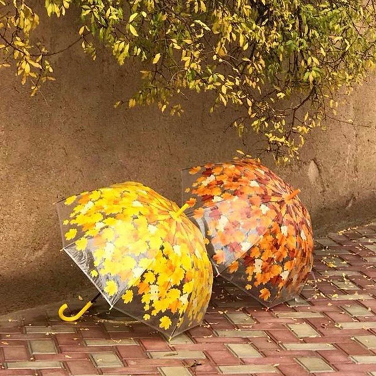 چتر جذاب شفاف ساده ،شفاف طرحدار ، طرح رنگین کمان ، مشکی ساده تاشو ۸ فنره تن شیک